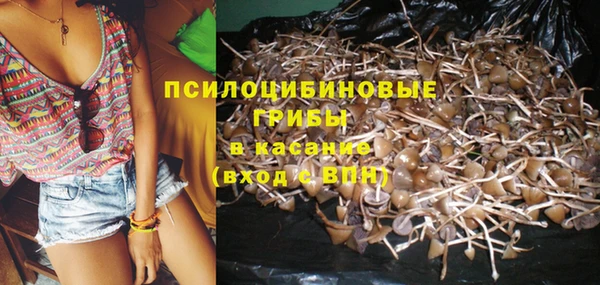 ECSTASY Алзамай