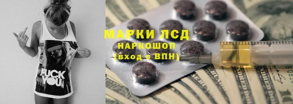 ECSTASY Алзамай