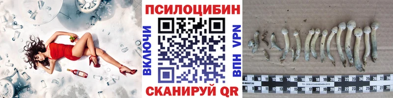 дарк нет какой сайт  Коряжма  Псилоцибиновые грибы Psilocybine cubensis 