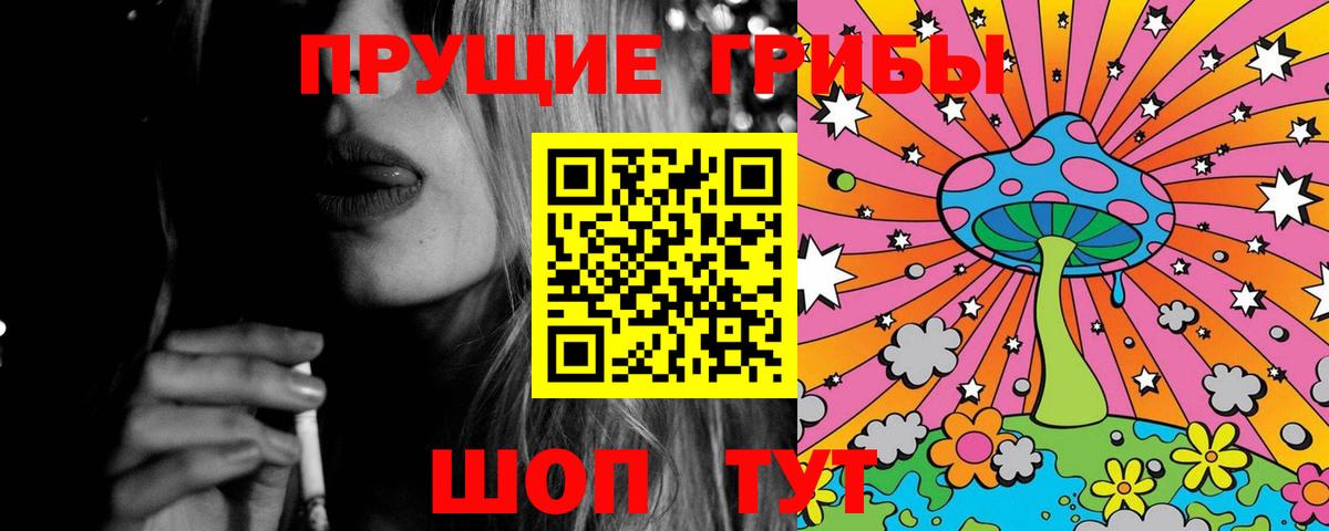 Галлюциногенные грибы Magic Shrooms  Вход с VPN  Коряжма  Псилоцибиновые грибы прущие грибы 