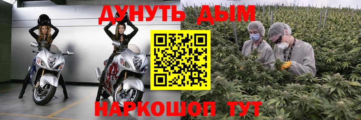 Бошки Шишки план Коряжма
